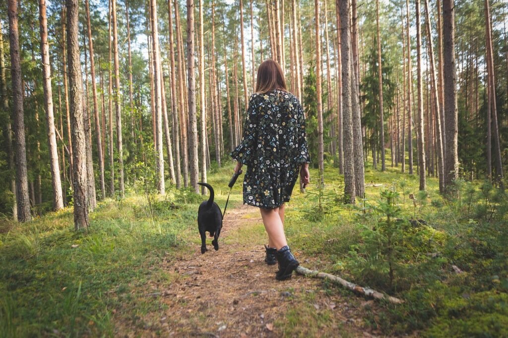 dog, nature, forest, landscape, animal, walk, autumn, cute, walking, retriever, leaves, pet, female, atmosphere, leisure, outdoors